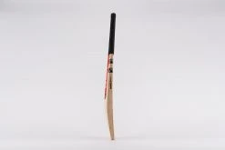 Gray Nicolls Academy Junior Cricket Bat -Ball Sports Shop 1134708BatGNProPerformance4397 00218d0b faac 49af b66a 355d41207084