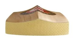 Hunts County Calidus Super Select Cricket Bat -Ball Sports Shop BatCalidus End