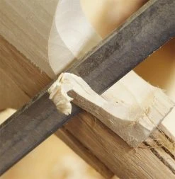 Junior Custom Made Cricket Bat (Grade 5 Willow)