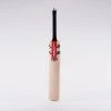 Gray Nicolls Players SH Cricket Bat
