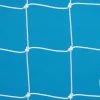 Fas 2.44M X 1.22M 4MM Fpx Weighted Net