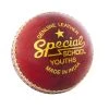 Readers Special Schools Cricket Ball