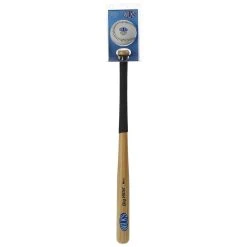 Aresson Big Hitter Mini Softball Bat & Ball Set
