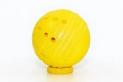 SpingBall - Revolutionary Batting Coaching Aid
